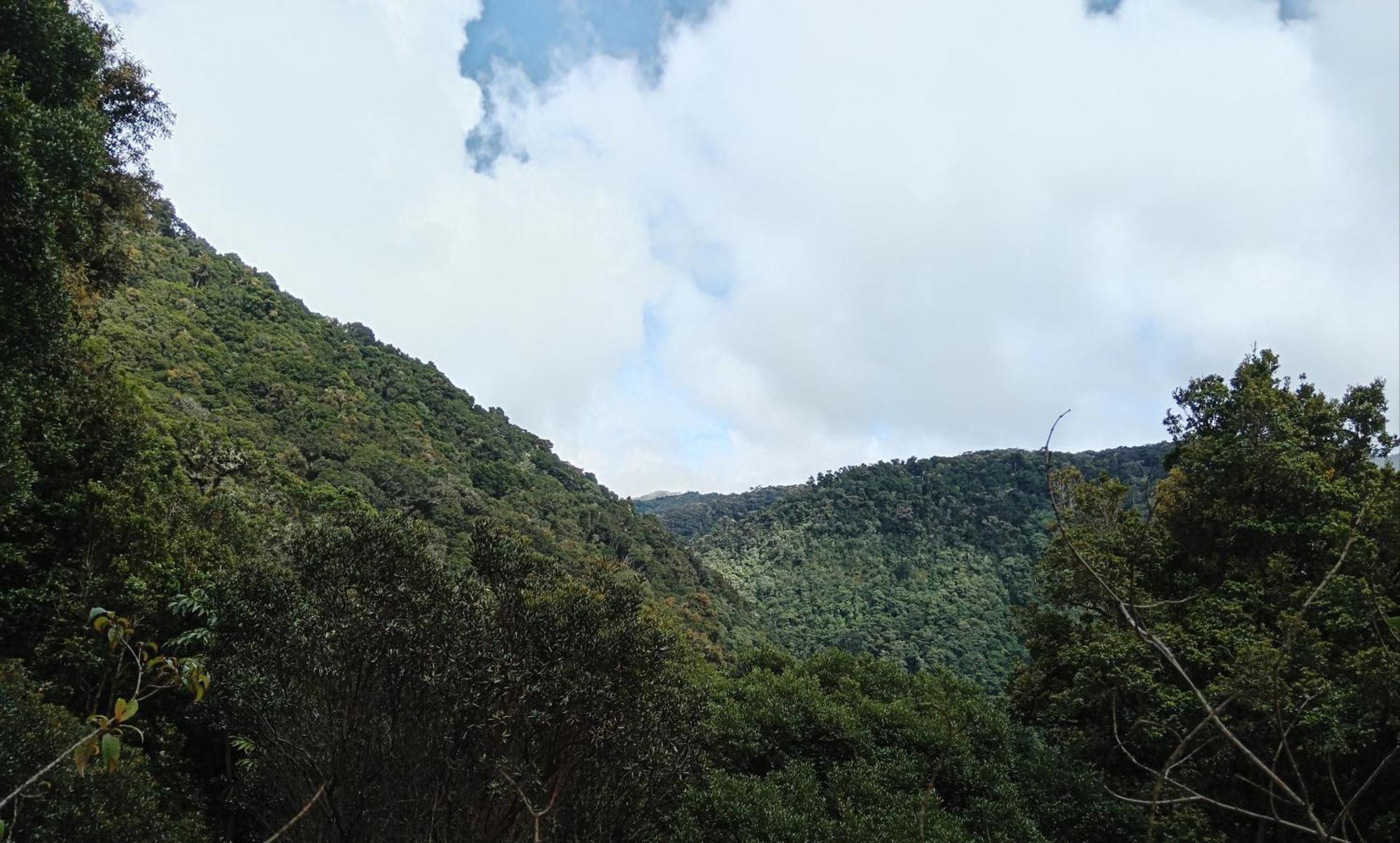 Miriam'S Quetzals Lodge San Gerardo de Dota Exterior photo