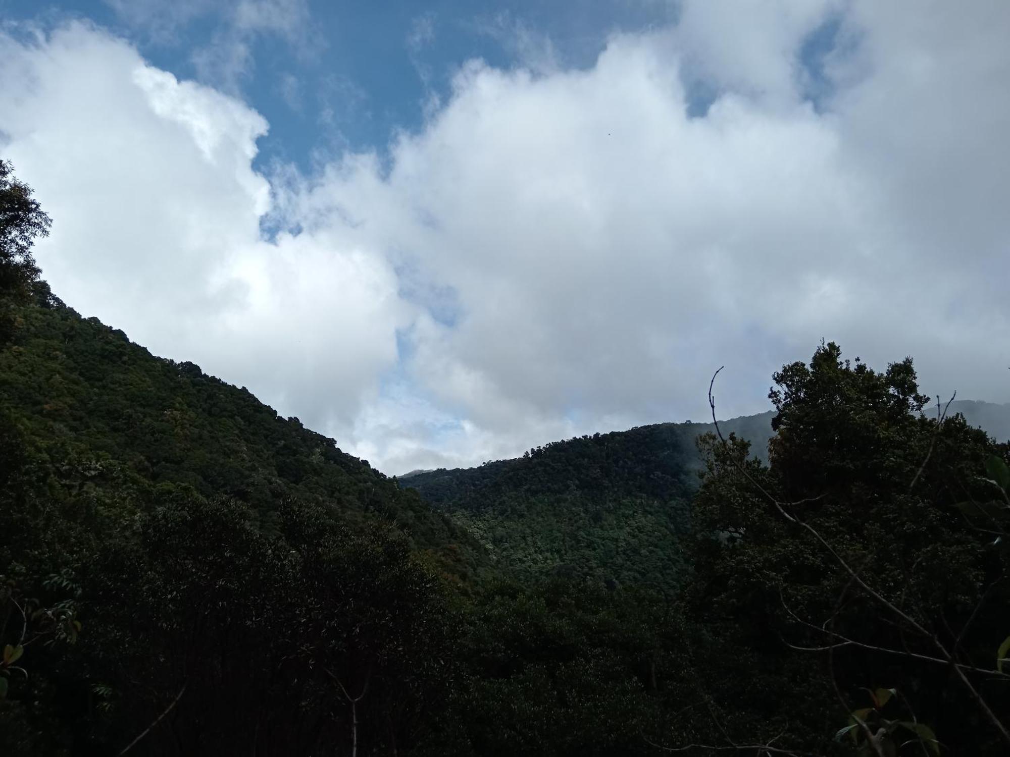 Miriam'S Quetzals Lodge San Gerardo de Dota Exterior photo