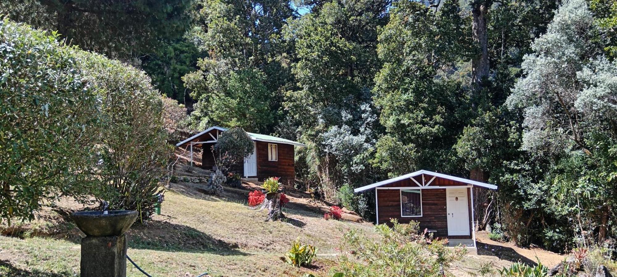 Miriam'S Quetzals Lodge San Gerardo de Dota Exterior photo