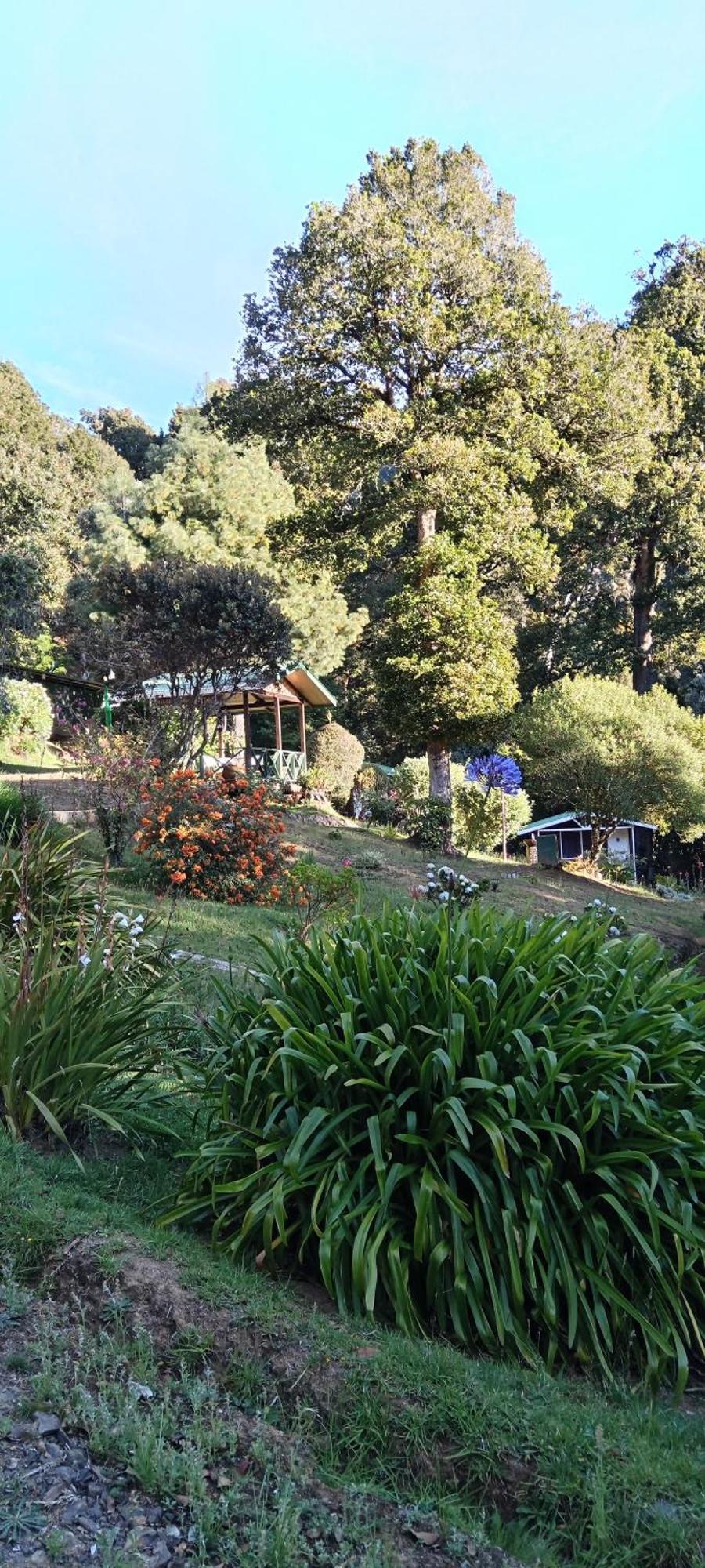 Miriam'S Quetzals Lodge San Gerardo de Dota Exterior photo