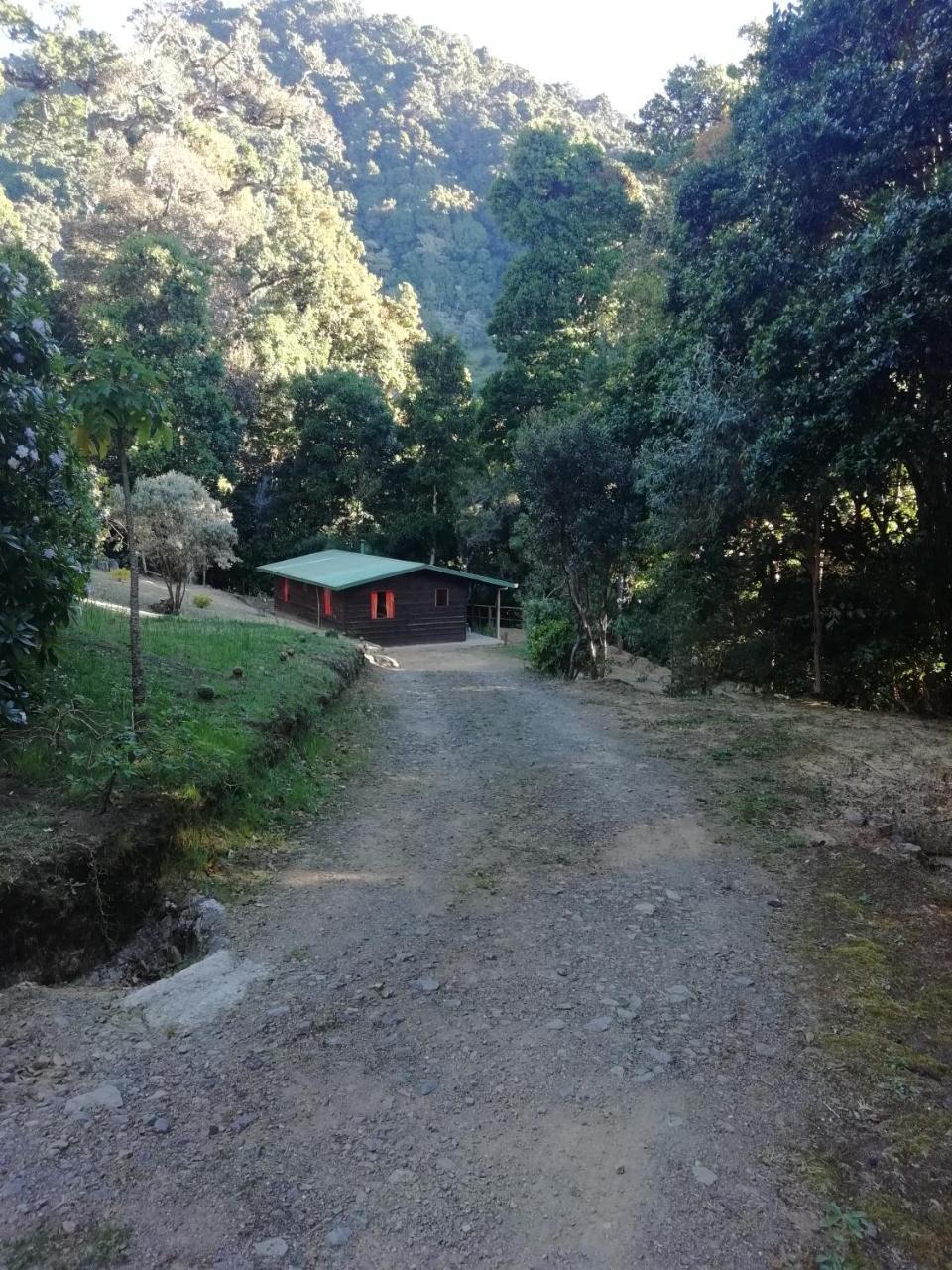 Miriam'S Quetzals Lodge San Gerardo de Dota Exterior photo
